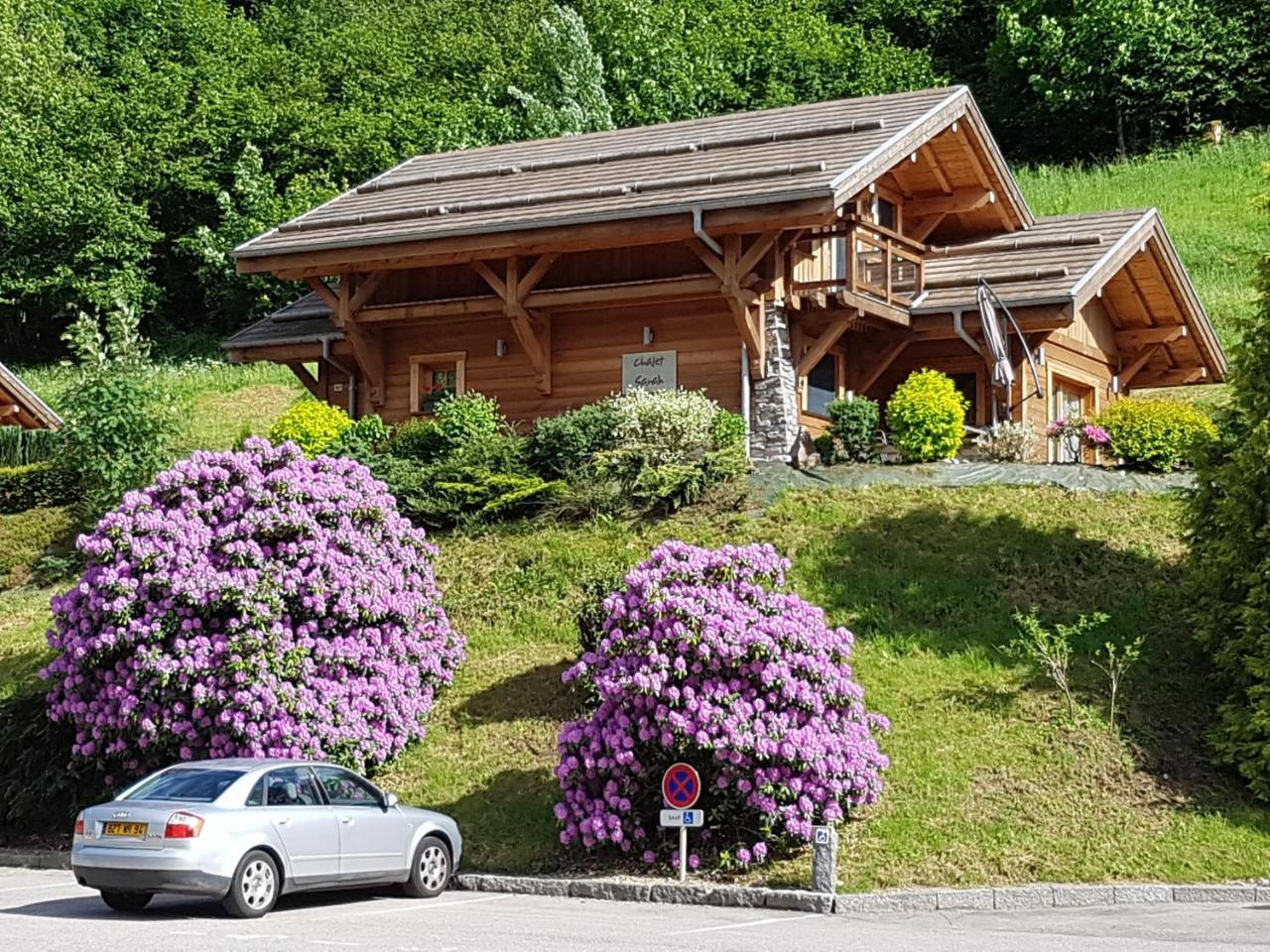 Les Chalets Des Chatelmines La Bresse Exterior foto